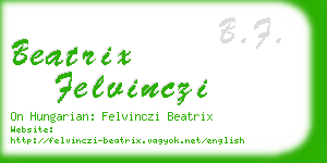 beatrix felvinczi business card